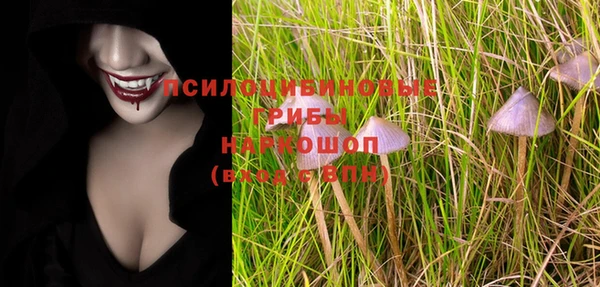 дмт Медногорск
