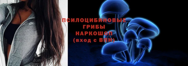 дмт Медногорск