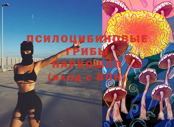 дмт Медногорск