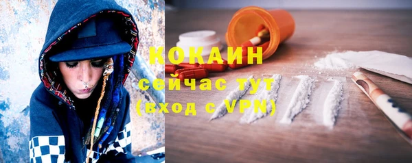 шишки Михайловка