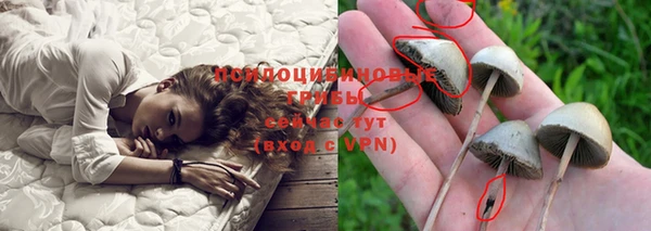 соль курить ск Медвежьегорск