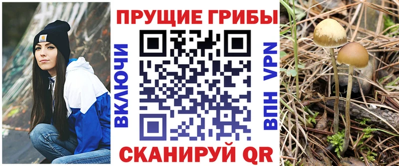 Галлюциногенные грибы мухоморы  закладка  маркетплейс официальный сайт  Усть-Илимск 