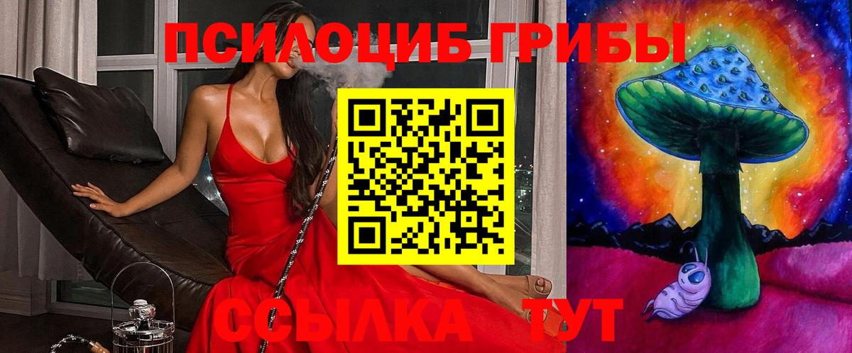 Галлюциногенные грибы Cubensis  Вход с VPN  Усть-Илимск 